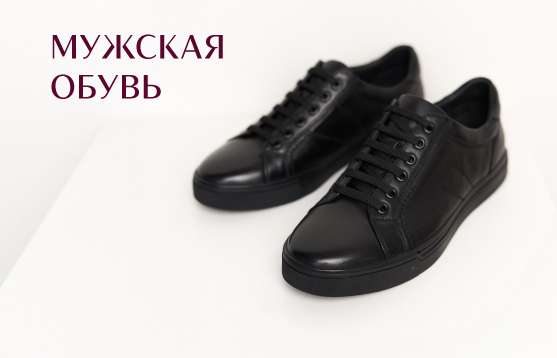 Мужская<br> обувь